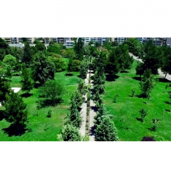 فندق هما 1 مشهد